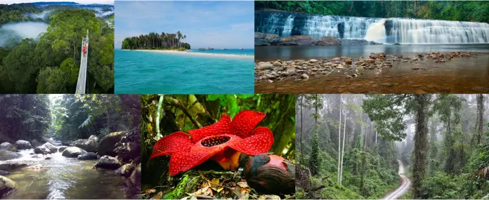 6 Must Visit Conservation Areas in Sabah for Nature Explorers