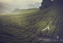 8 Beautiful Nature Places for Pre-Wedding Shoot in Malaysia