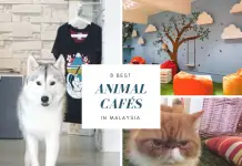 8 Best Animal Cafés in Malaysia