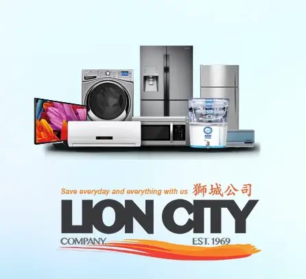 Lion City Company