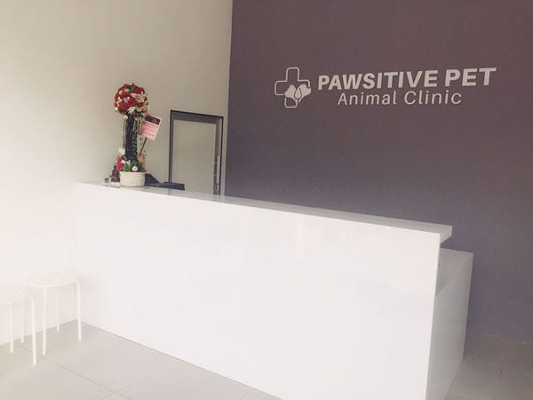 Pawsitive Pet Animal Clinic