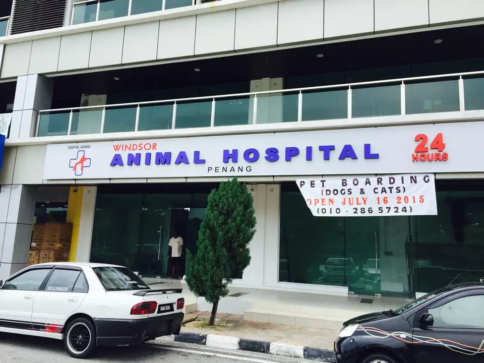 Windsor Animal Hospital Penang