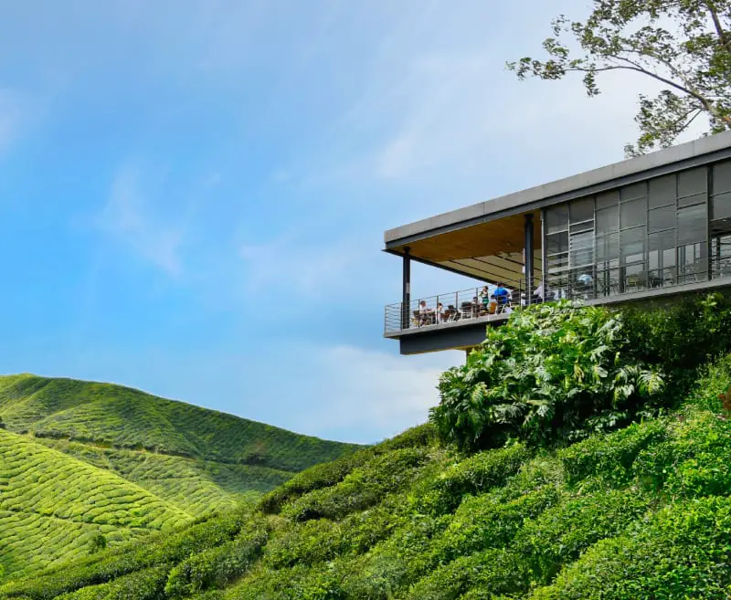 The view of the cafe overlooking the rolling hills of tea plantation at Boh Sungei Palas Tea Centre