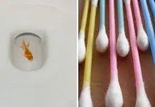 15 Things You Shouldn't Flush Down The Toilet