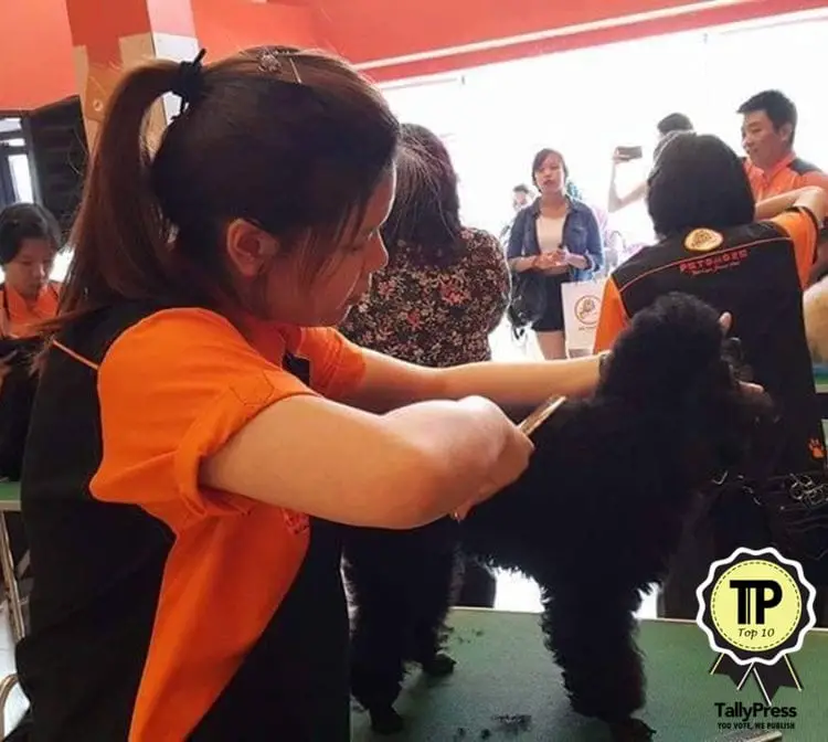 malaysias-top-10-pet-grooming-centres-petsmore