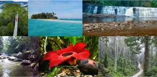 6 Must Visit Conservation Areas in Sabah for Nature Explorers