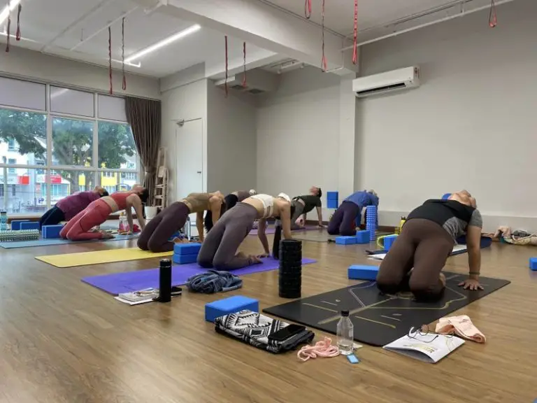 Top 10 Yoga Studios in Penang | TallyPress