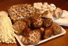5 different types of mushrooms in asia and their health benefits