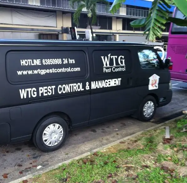WTG Pest Control Singapore