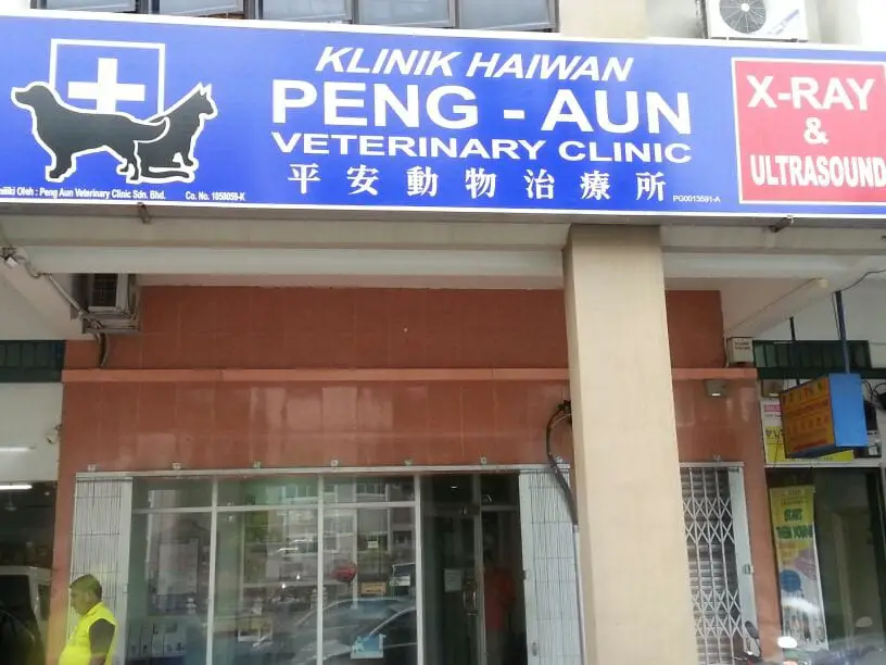 Top 10 Veterinary Clinics In Penang