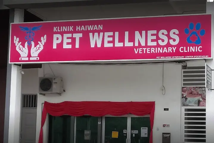 Neko veterinary clinic