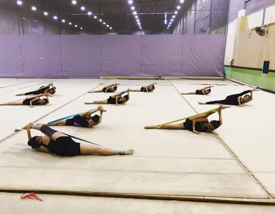 Relevé Rhythmic Gymnastics and Dance Academy