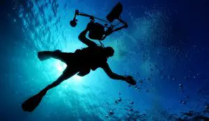 Divers diving underwater in the ocean