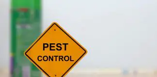 Top 10 Pest Control Services in Singapore 2020
