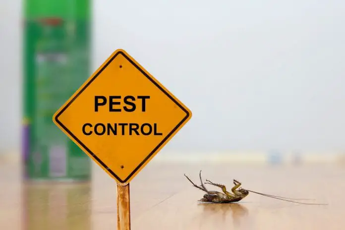 Top 10 Pest Control Services in Singapore 2020