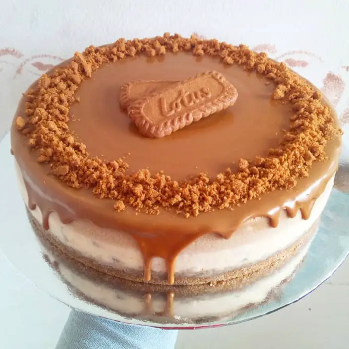 Lotus Biscoff Cheesecake from DayBab's Delectable Treats