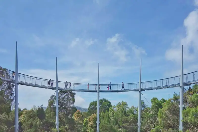 The sky-high canopy walk at The Habitat Penang Hill