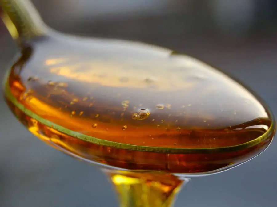 Burnt Tongue Remedy #7: Honey