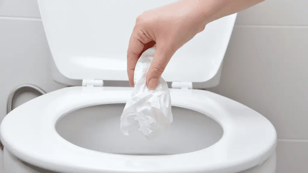 Antibacterial Wipes Mistake #10: Flushing The Wipes Down The Toilet