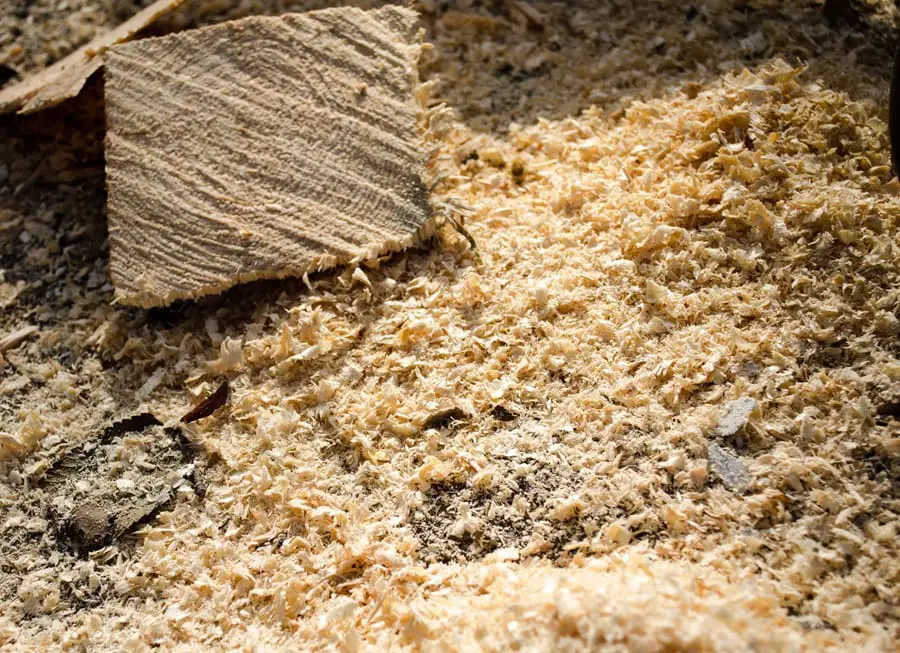 Things You Shouldn't Vacuum #6: Sawdust