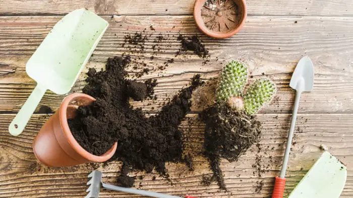 Things You Shouldn't Vacuum #5: Soil