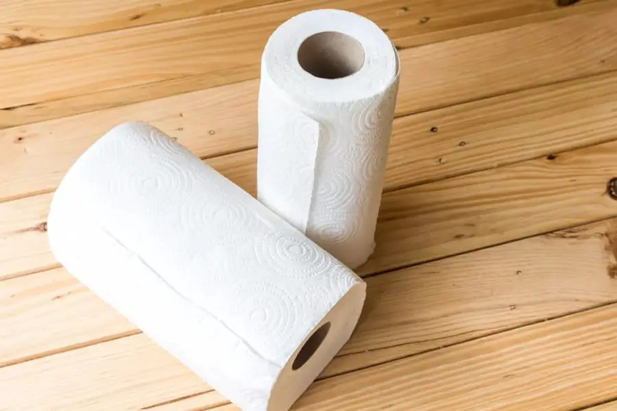 Things You Shouldn't Flush Down The Toilet: Paper Towels