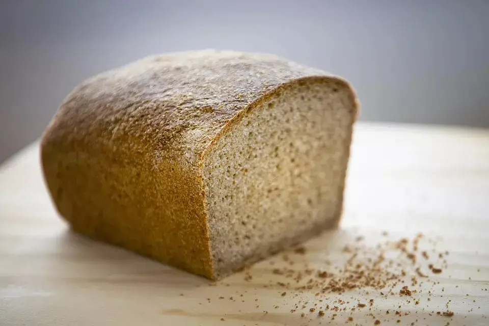 Easy Bread Recipe #2: Whole Wheat Bread