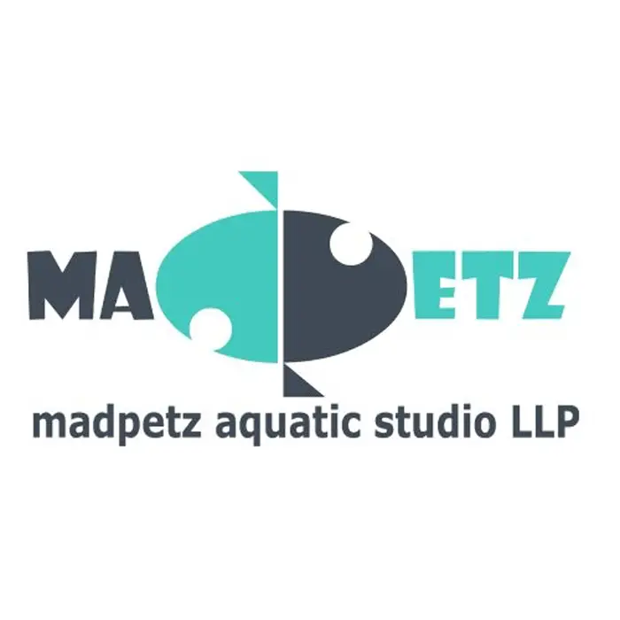Madpetz Aquatic Studio