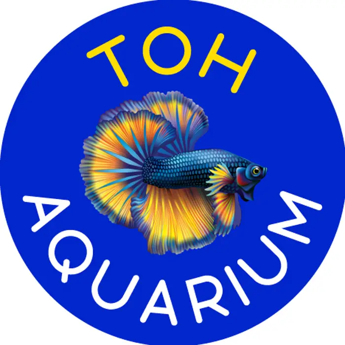 Toh Aquarium