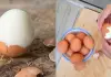 5 Ways To Peel Hard-Boiled Eggs