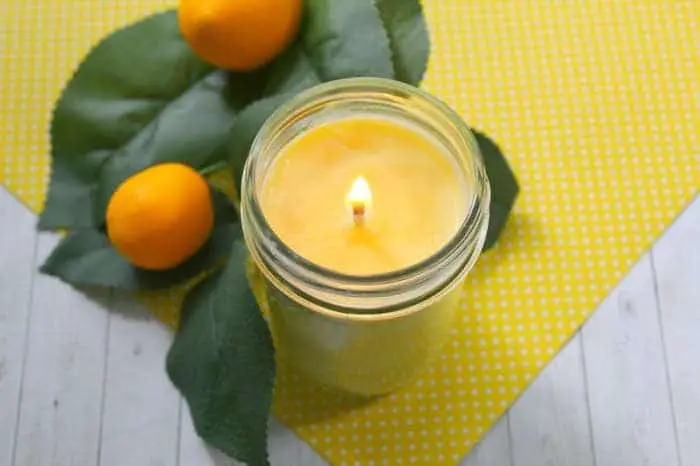 Benefits of Burning Scented Candle #4: Keeping The Bugs Away