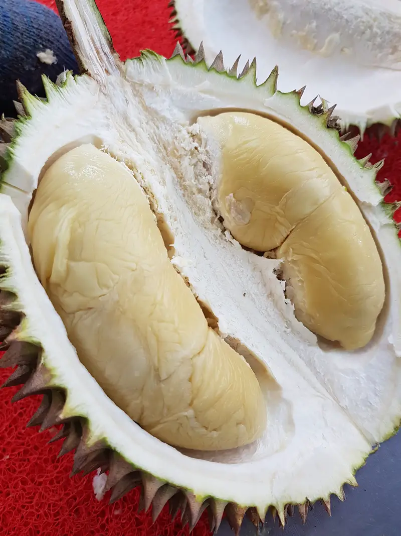 The Durian Tree