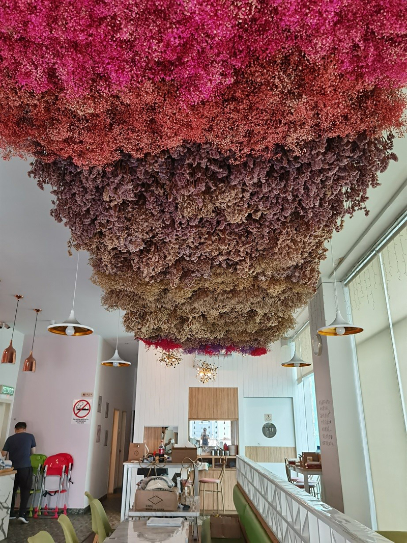 Floral-Themed Cafe: Viola Flower Cafe
