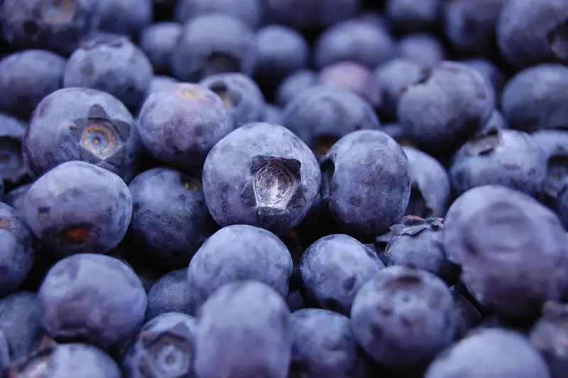 Eat a light snack like blueberries after a massage