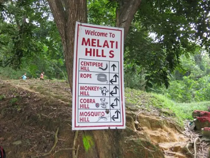 Hiking Trails: Bukit Melati