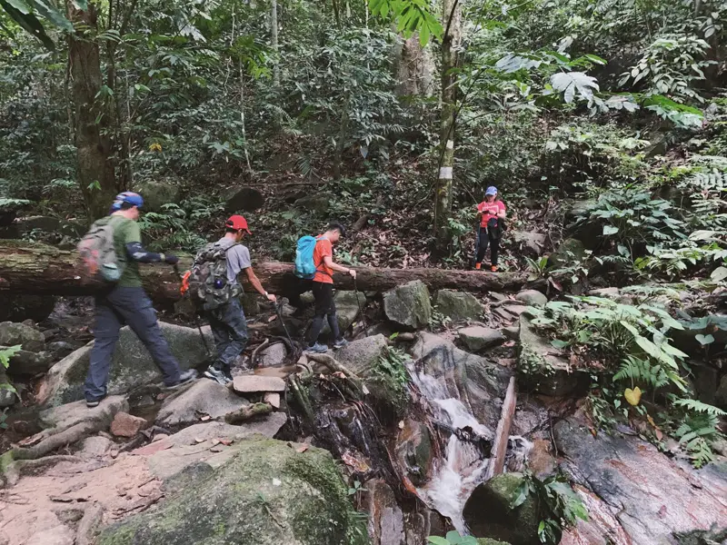 Hiking Trails: Mount Berembun (Gunung Berembun)