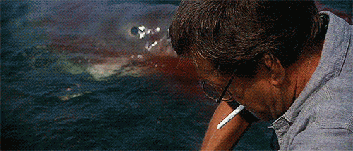 A scene from Steven Spielberg's "Jaws" (1975)